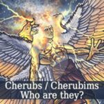 What is the duty of Cherubim