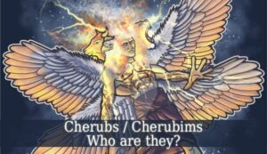 Read more about the article What is the duty of Cherubim