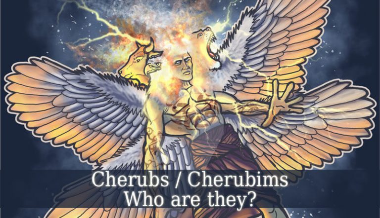 You are currently viewing What is the duty of Cherubim