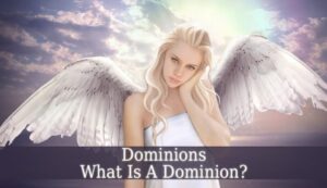 Read more about the article What is the duty of Dominions