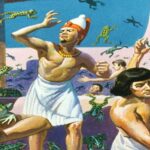 Frogs: The Second Plague of Egypt