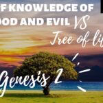 Why Did God Say, “Tree of the Knowledge of Good and Evil, Thou Shalt Not Eat”?