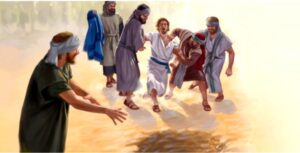 Read more about the article Who Put Joseph in the Pit?