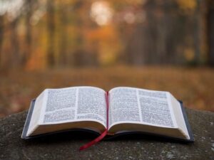 Read more about the article The Word of Knowledge – II