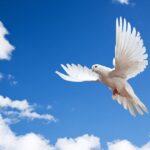 The Holy Spirit and Prayer