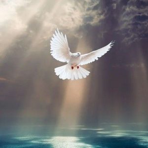 Read more about the article The Visions – I